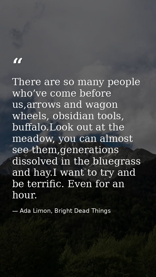 There are so many people who’ve come before us,arrows and wagon wheels, obsidian tools, buffalo.Look out at the meadow,  — Ada Limon, Bright Dead Things