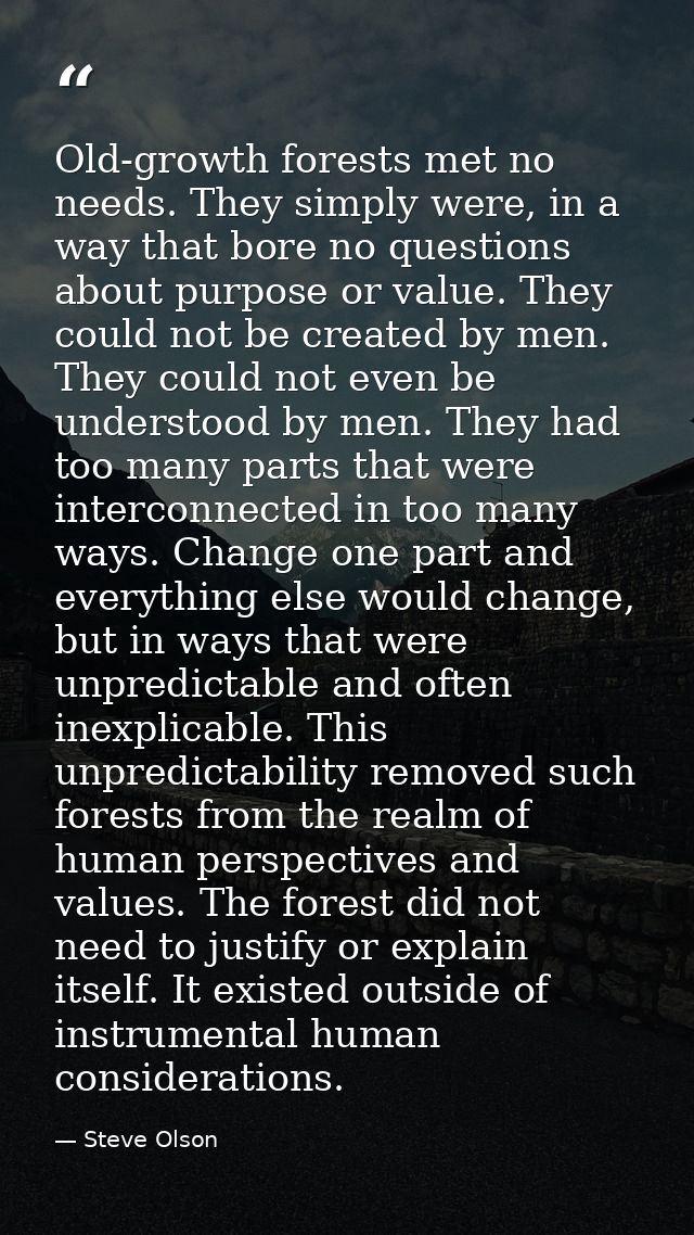 Old-growth forests met no needs. They simply were, in a way that bore no questions about purpose or value. They could no — Steve Olson