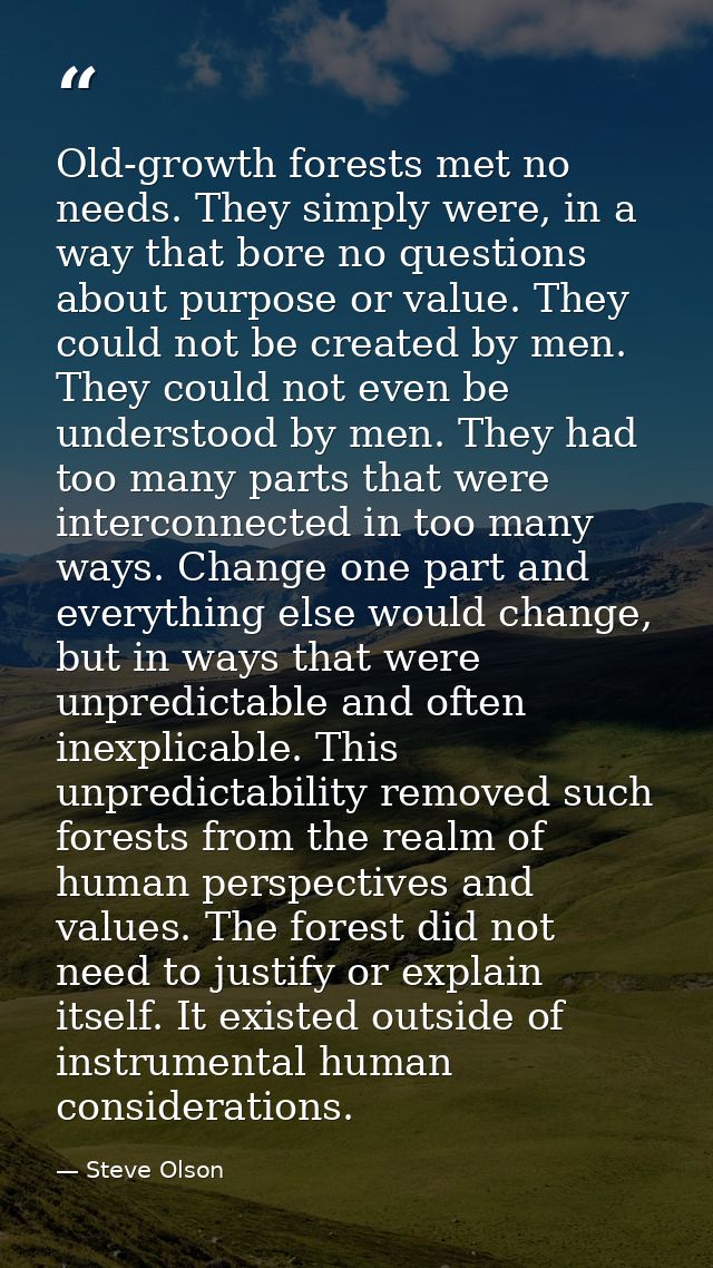Old-growth forests met no needs. They simply were, in a way that bore no questions about purpose or value. They could no — Steve Olson