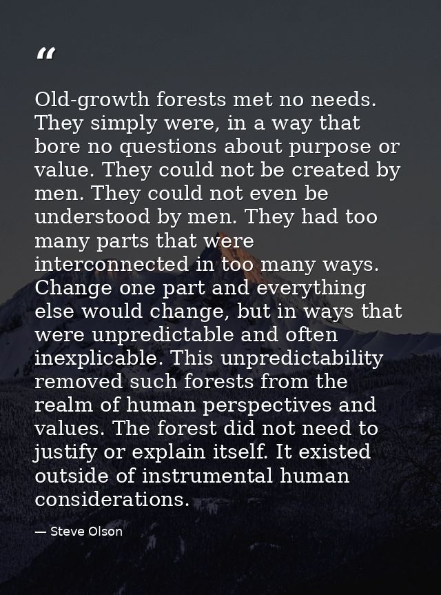 Old-growth forests met no needs. They simply were, in a way that bore no questions about purpose or value. They could no — Steve Olson