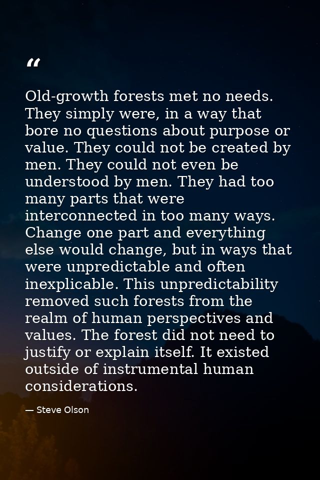 Old-growth forests met no needs. They simply were, in a way that bore no questions about purpose or value. They could no — Steve Olson