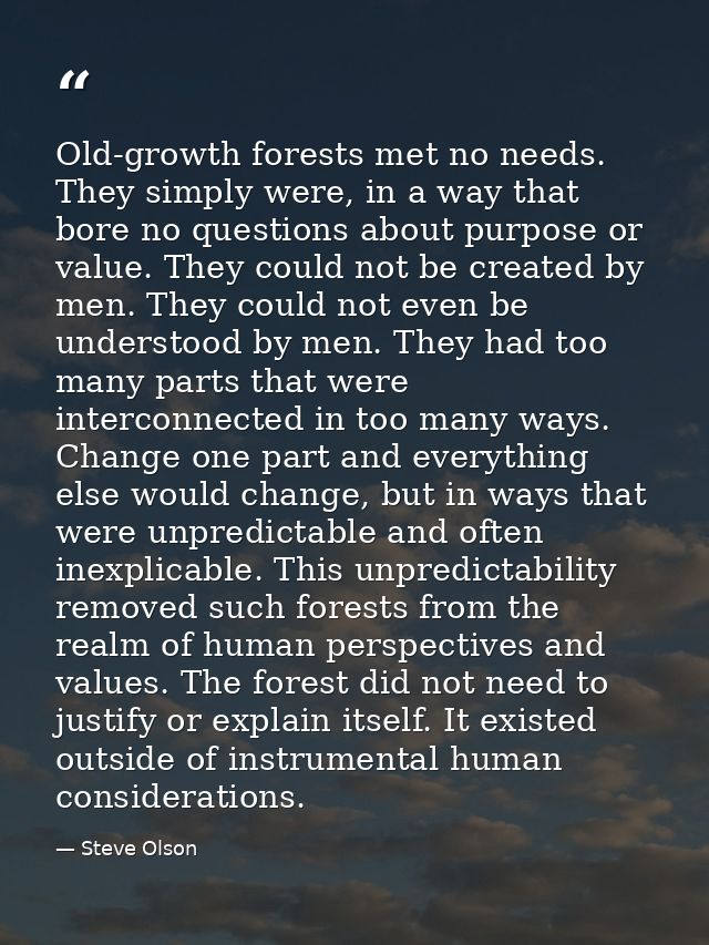 Old-growth forests met no needs. They simply were, in a way that bore no questions about purpose or value. They could no — Steve Olson
