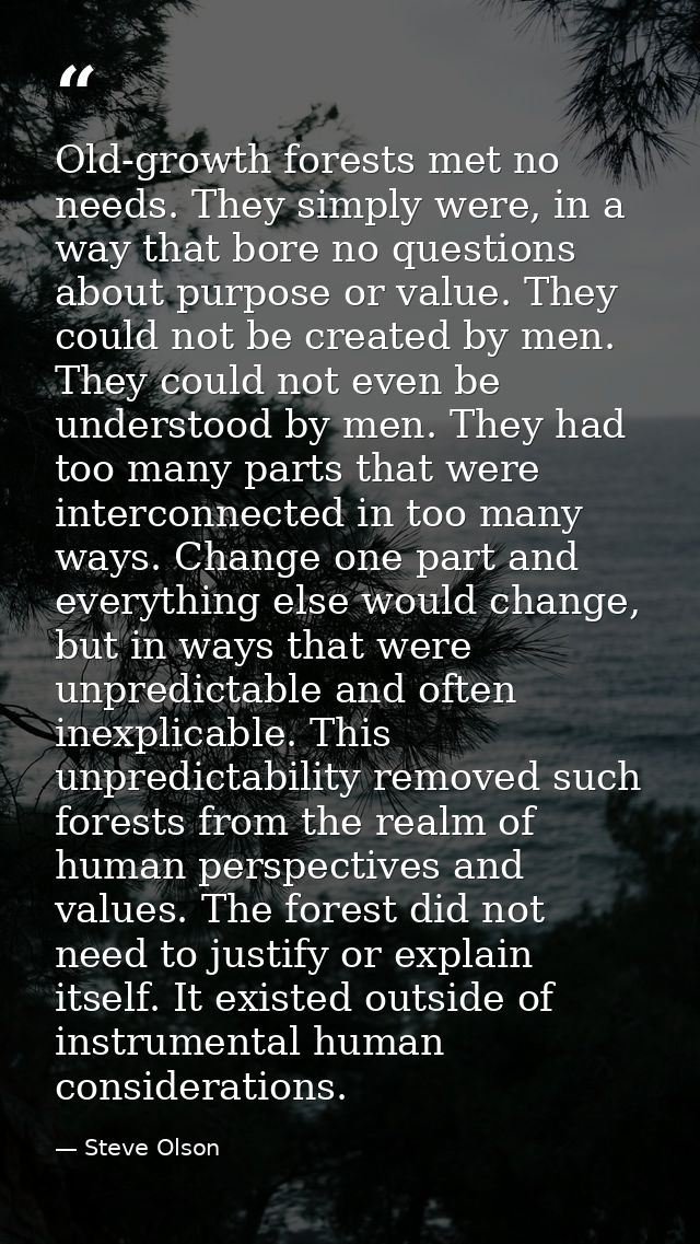 Old-growth forests met no needs. They simply were, in a way that bore no questions about purpose or value. They could no — Steve Olson