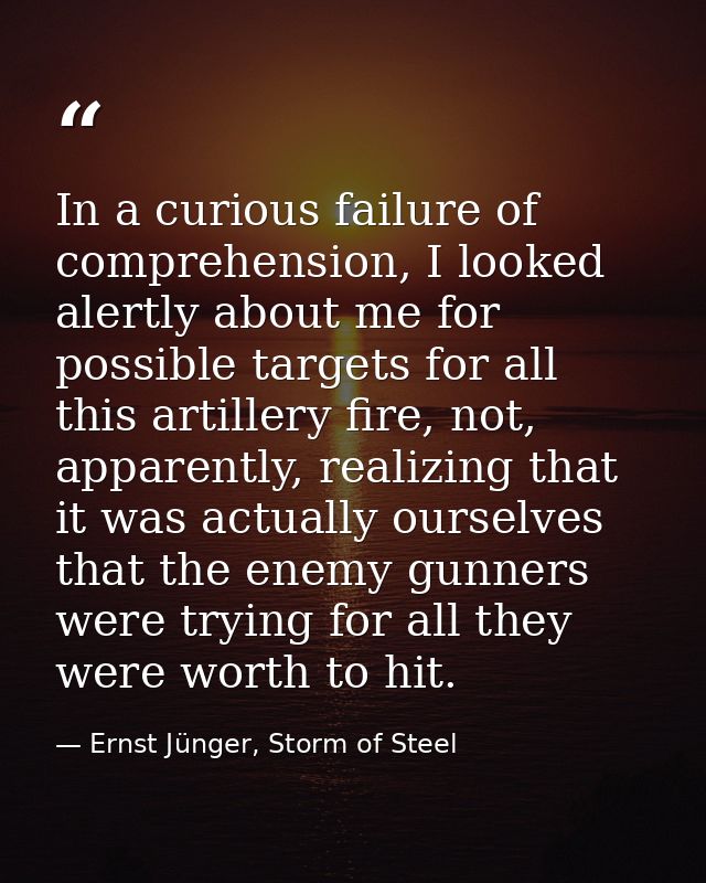 In a curious failure of comprehension, I looked alertly about me for possible targets for all this artillery fire, not,  — Ernst Jünger, Storm of Steel