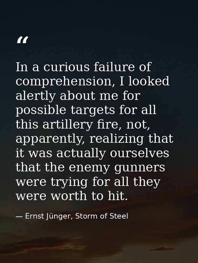 In a curious failure of comprehension, I looked alertly about me for possible targets for all this artillery fire, not,  — Ernst Jünger, Storm of Steel
