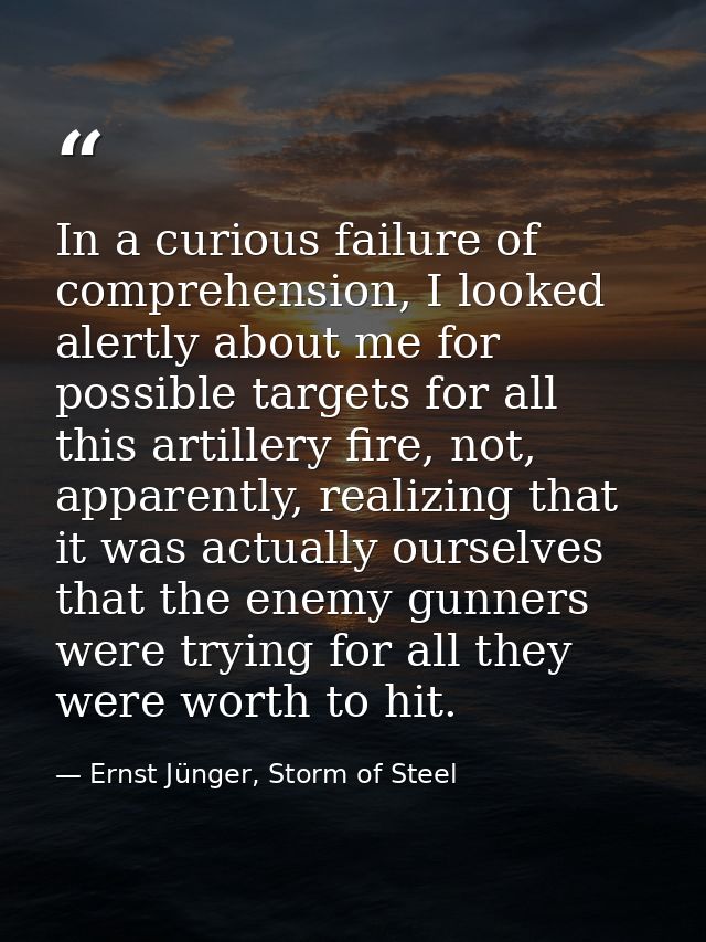 In a curious failure of comprehension, I looked alertly about me for possible targets for all this artillery fire, not,  — Ernst Jünger, Storm of Steel