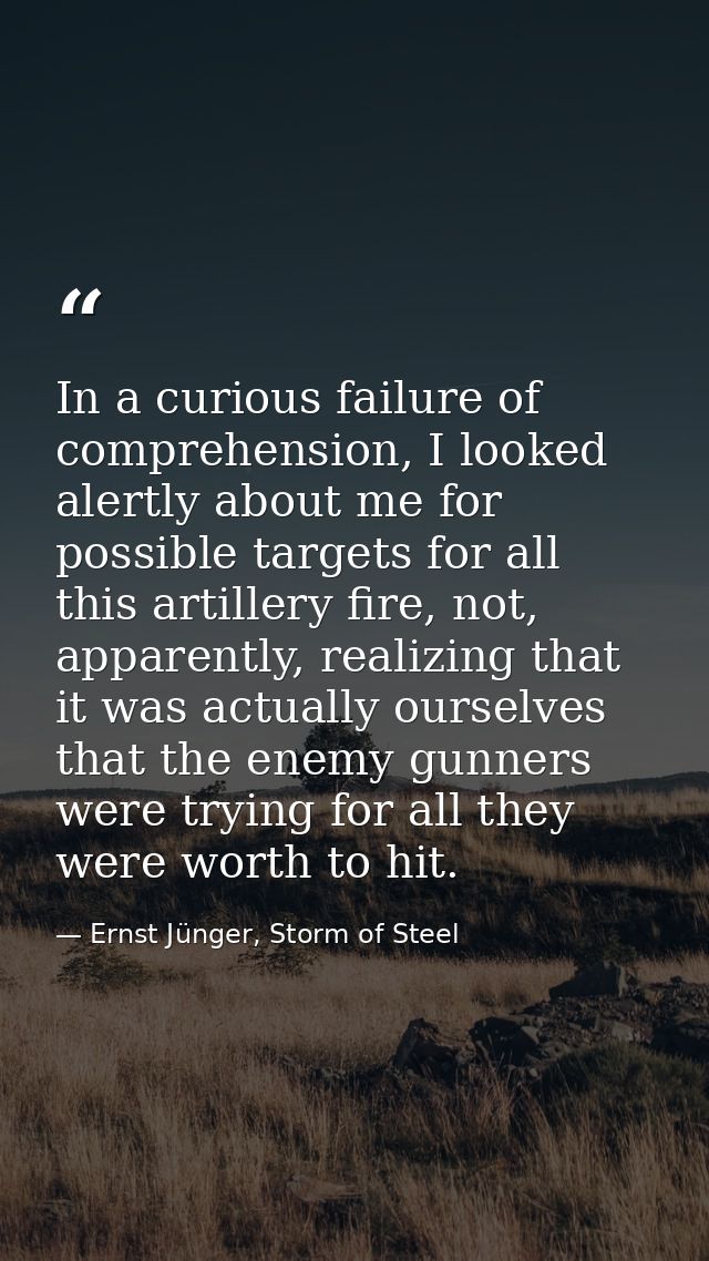 In a curious failure of comprehension, I looked alertly about me for possible targets for all this artillery fire, not,  — Ernst Jünger, Storm of Steel