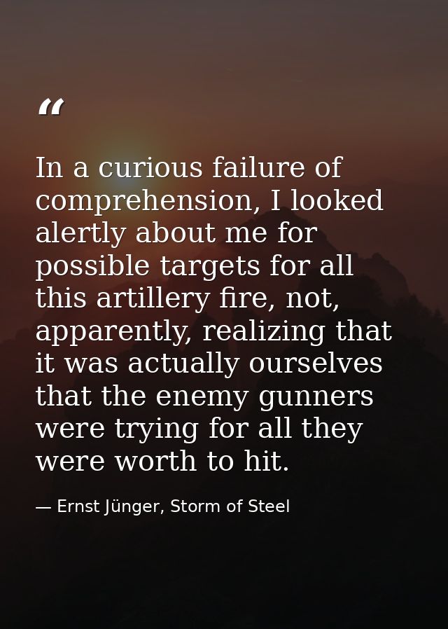 In a curious failure of comprehension, I looked alertly about me for possible targets for all this artillery fire, not,  — Ernst Jünger, Storm of Steel
