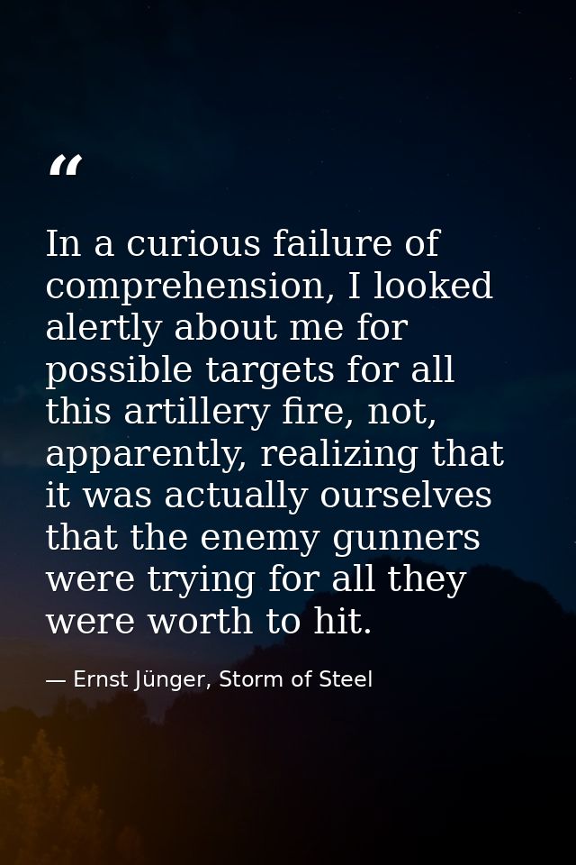 In a curious failure of comprehension, I looked alertly about me for possible targets for all this artillery fire, not,  — Ernst Jünger, Storm of Steel