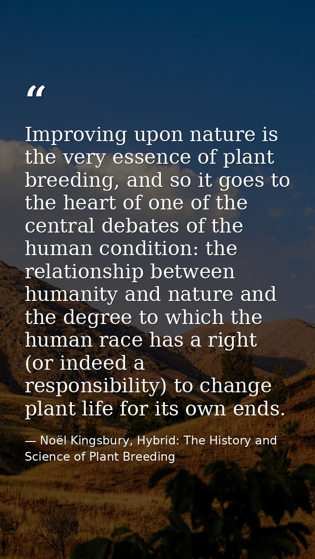 Improving upon nature is the very essence of plant breeding, and so it goes to the heart of one of the central debates o — Noël Kingsbury, Hybrid: The History and Science of Plant Breeding