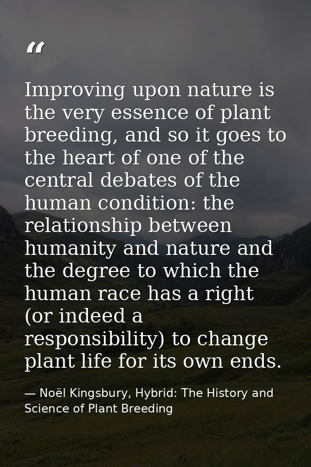 Improving upon nature is the very essence of plant breeding, and so it goes to the heart of one of the central debates o — Noël Kingsbury, Hybrid: The History and Science of Plant Breeding