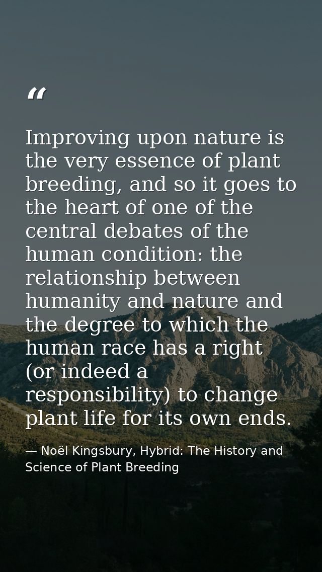 Improving upon nature is the very essence of plant breeding, and so it goes to the heart of one of the central debates o — Noël Kingsbury, Hybrid: The History and Science of Plant Breeding