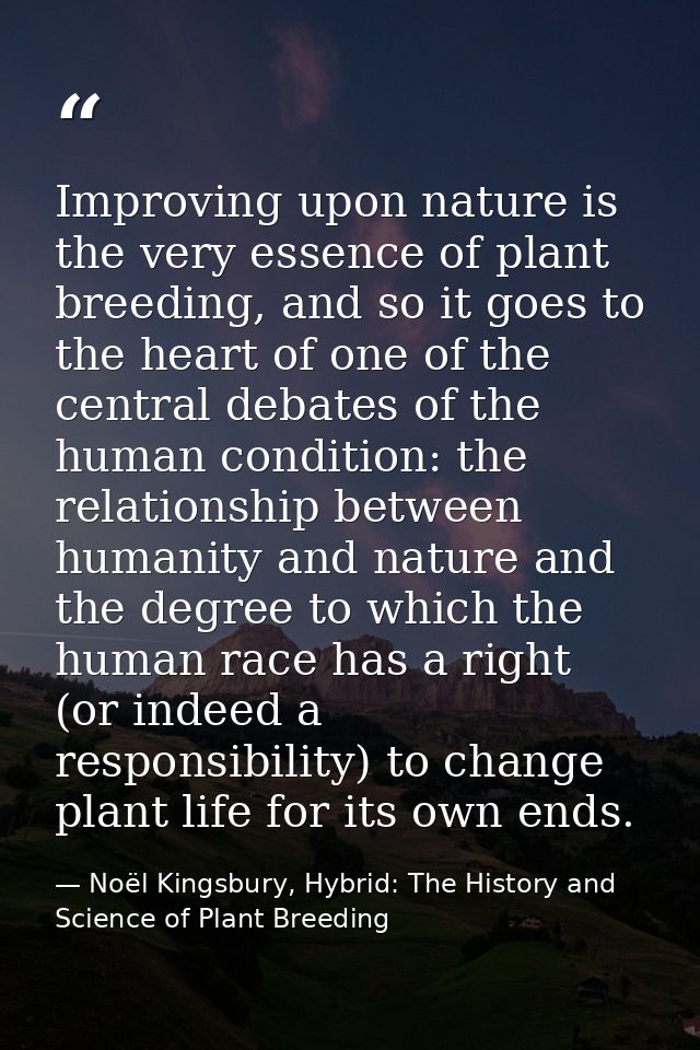 Improving upon nature is the very essence of plant breeding, and so it goes to the heart of one of the central debates o — Noël Kingsbury, Hybrid: The History and Science of Plant Breeding