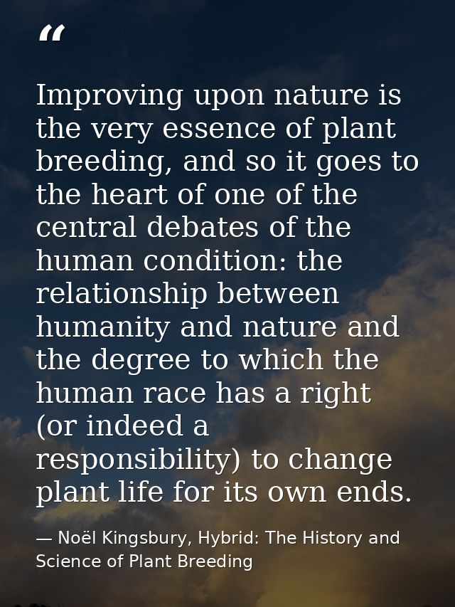 Improving upon nature is the very essence of plant breeding, and so it goes to the heart of one of the central debates o — Noël Kingsbury, Hybrid: The History and Science of Plant Breeding