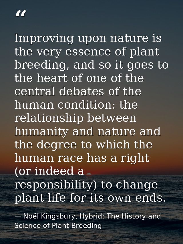 Improving upon nature is the very essence of plant breeding, and so it goes to the heart of one of the central debates o — Noël Kingsbury, Hybrid: The History and Science of Plant Breeding