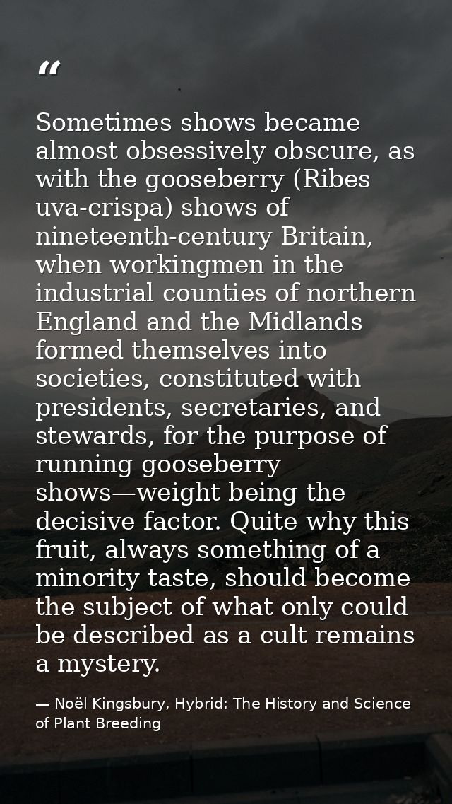 Sometimes shows became almost obsessively obscure, as with the gooseberry (Ribes uva-crispa) shows of nineteenth-century — Noël Kingsbury, Hybrid: The History and Science of Plant Breeding