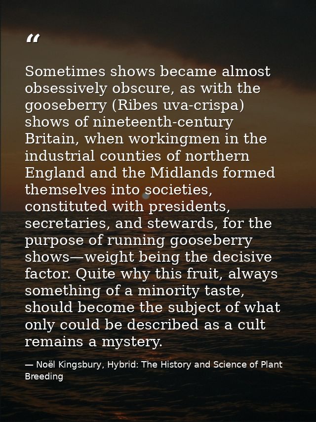 Sometimes shows became almost obsessively obscure, as with the gooseberry (Ribes uva-crispa) shows of nineteenth-century — Noël Kingsbury, Hybrid: The History and Science of Plant Breeding
