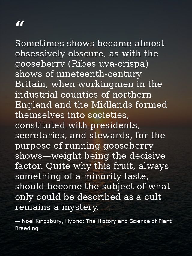 Sometimes shows became almost obsessively obscure, as with the gooseberry (Ribes uva-crispa) shows of nineteenth-century — Noël Kingsbury, Hybrid: The History and Science of Plant Breeding