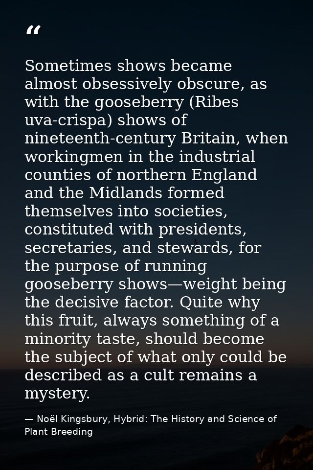 Sometimes shows became almost obsessively obscure, as with the gooseberry (Ribes uva-crispa) shows of nineteenth-century — Noël Kingsbury, Hybrid: The History and Science of Plant Breeding