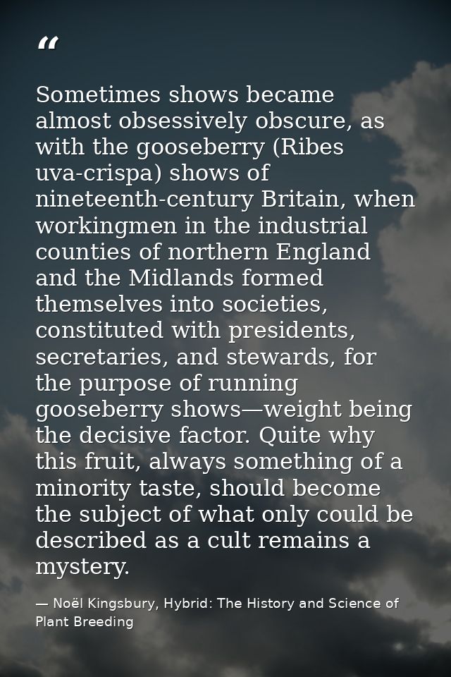 Sometimes shows became almost obsessively obscure, as with the gooseberry (Ribes uva-crispa) shows of nineteenth-century — Noël Kingsbury, Hybrid: The History and Science of Plant Breeding