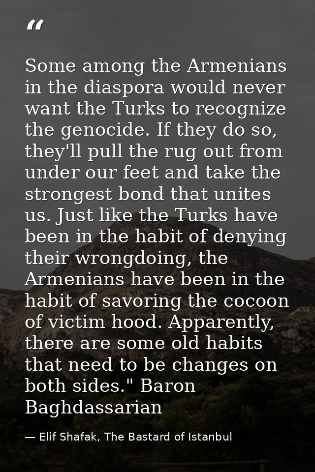 Some among the Armenians in the diaspora would never want the Turks to recognize the genocide. If they do so, they'll pu — Elif Shafak, The Bastard of Istanbul