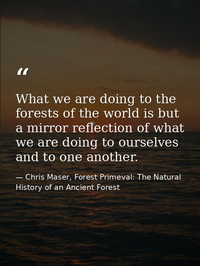 What we are doing to the forests of the world is but a mirror reflection of what we are doing to ourselves and to one an — Chris Maser, Forest Primeval: The Natural History of an Ancient Forest