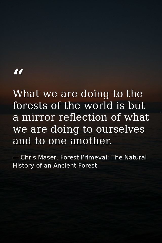 What we are doing to the forests of the world is but a mirror reflection of what we are doing to ourselves and to one an — Chris Maser, Forest Primeval: The Natural History of an Ancient Forest