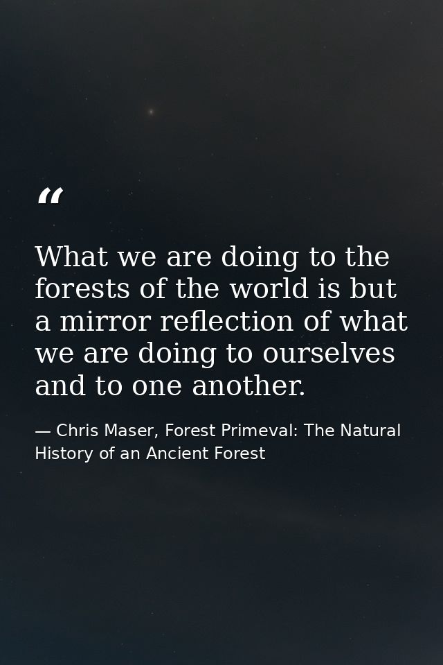 What we are doing to the forests of the world is but a mirror reflection of what we are doing to ourselves and to one an — Chris Maser, Forest Primeval: The Natural History of an Ancient Forest