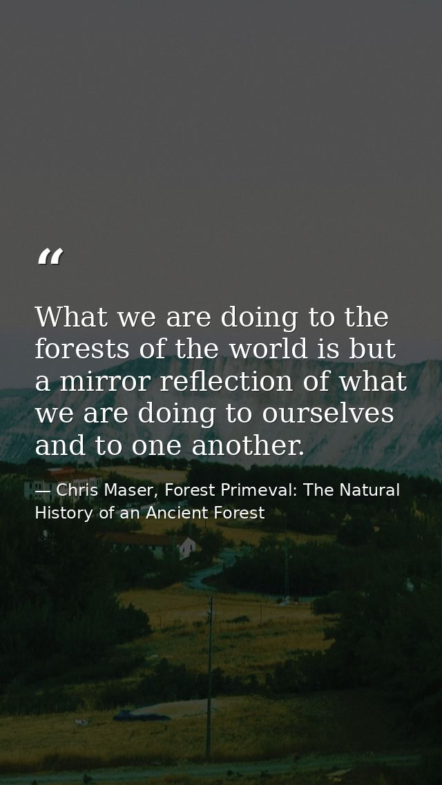 What we are doing to the forests of the world is but a mirror reflection of what we are doing to ourselves and to one an — Chris Maser, Forest Primeval: The Natural History of an Ancient Forest