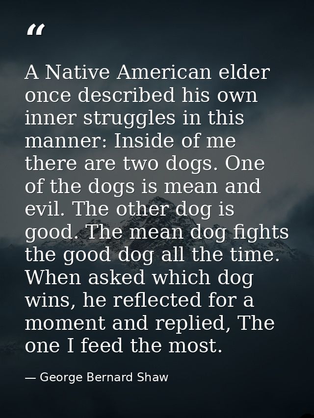 A Native American elder once described his own inner struggles in this manner: Inside of me there are two dogs. One of t — George Bernard Shaw