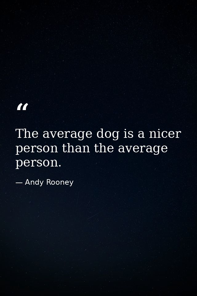 The average dog is a nicer person than the average person. — Andy Rooney