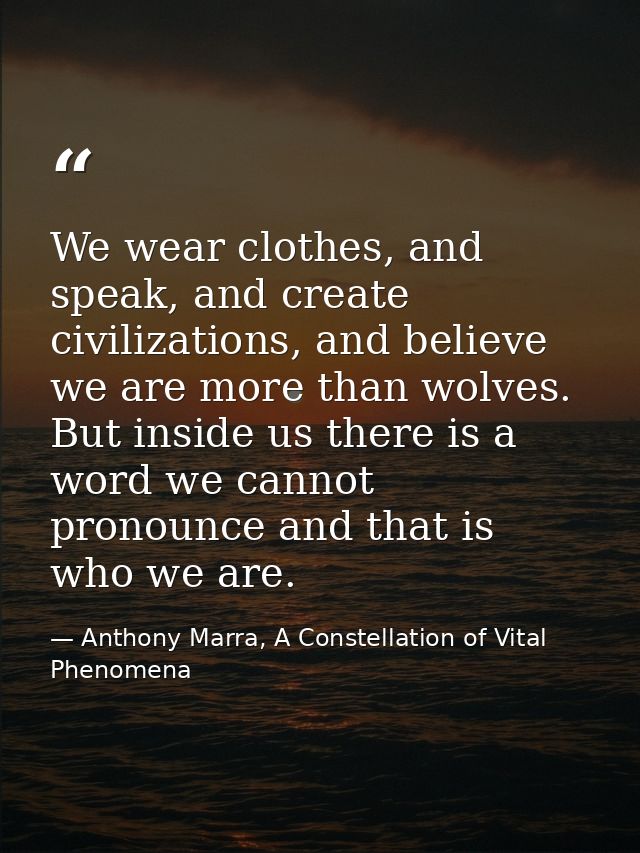 We wear clothes, and speak, and create civilizations, and believe we are more than wolves. But inside us there is a word — Anthony Marra, A Constellation of Vital Phenomena