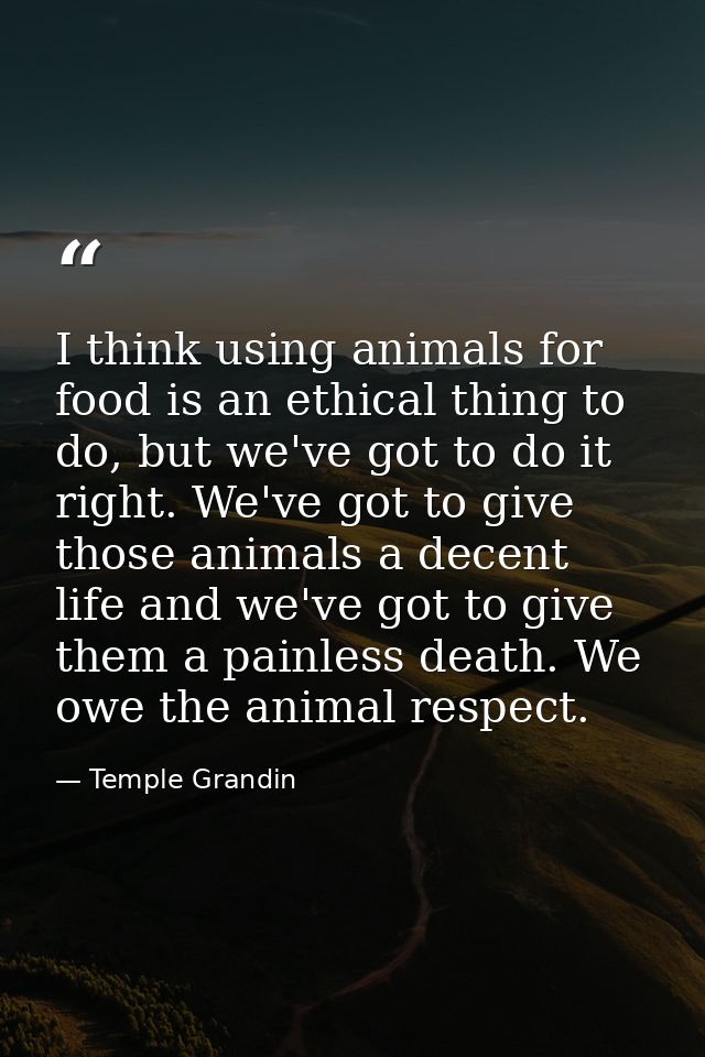 I think using animals for food is an ethical thing to do, but we've got to do it right. We've got to give those animals  — Temple Grandin