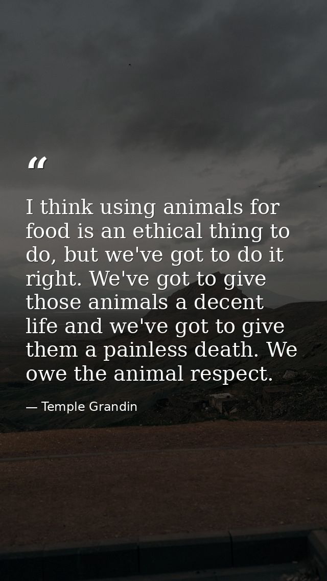 I think using animals for food is an ethical thing to do, but we've got to do it right. We've got to give those animals  — Temple Grandin