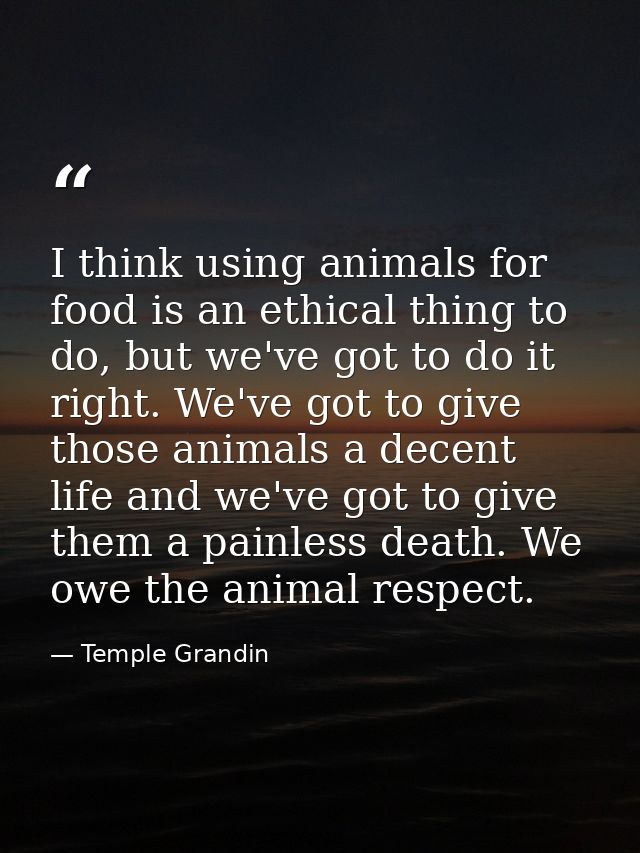 I think using animals for food is an ethical thing to do, but we've got to do it right. We've got to give those animals  — Temple Grandin