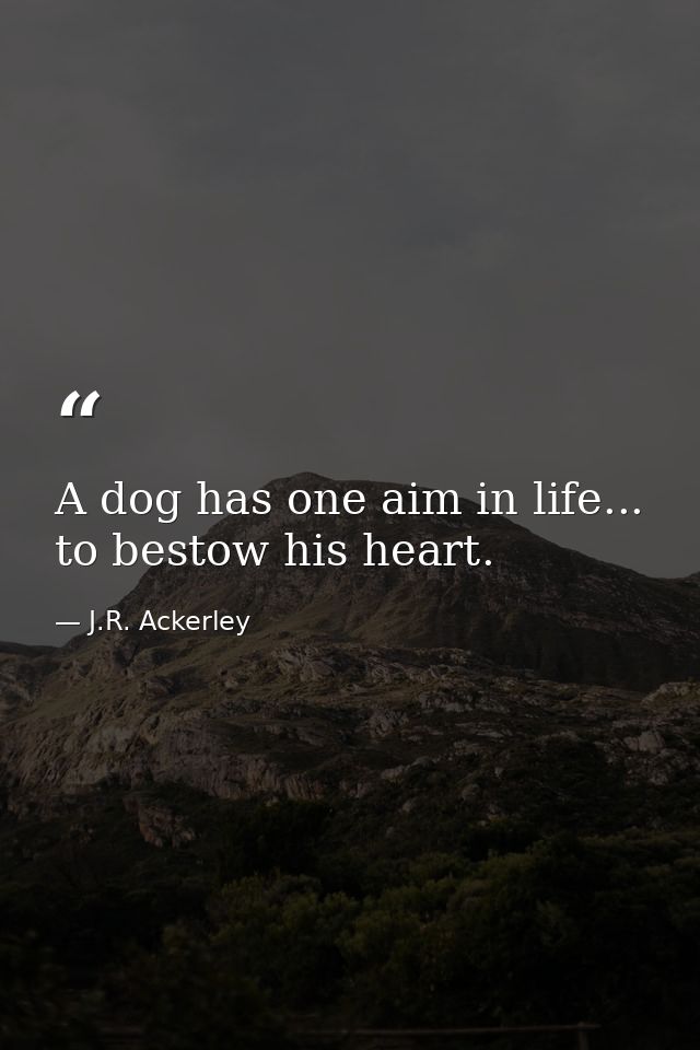 A dog has one aim in life... to bestow his heart. — J.R. Ackerley