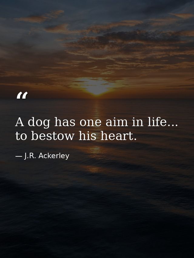 A dog has one aim in life... to bestow his heart. — J.R. Ackerley