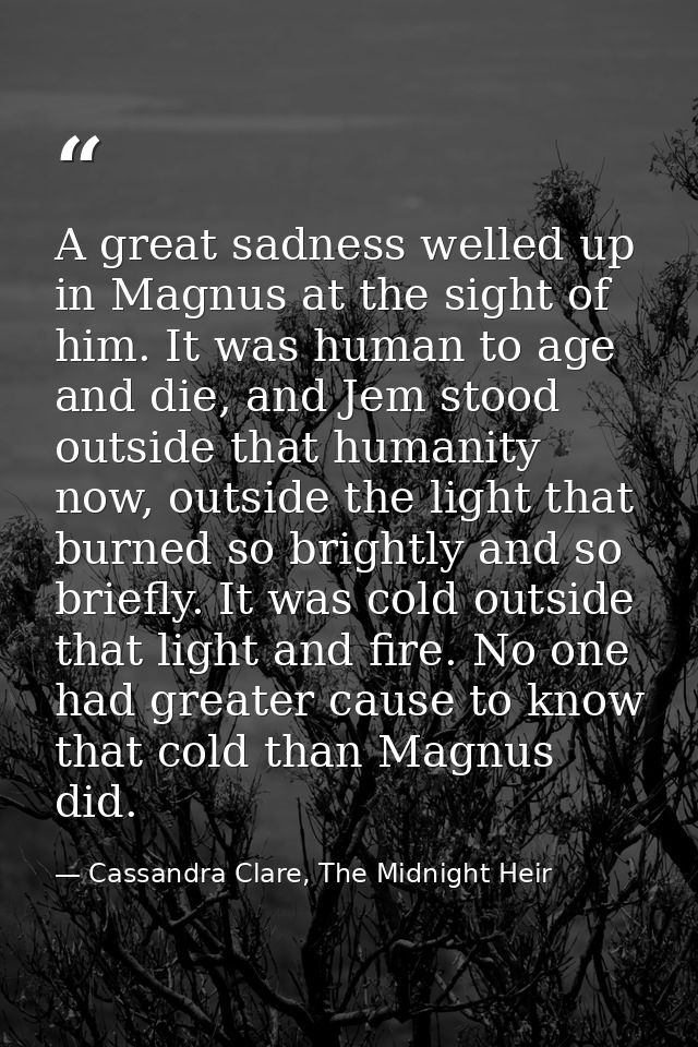 A great sadness welled up in Magnus at the sight of him. It was human to age and die, and Jem stood outside that humanit — Cassandra Clare, The Midnight Heir