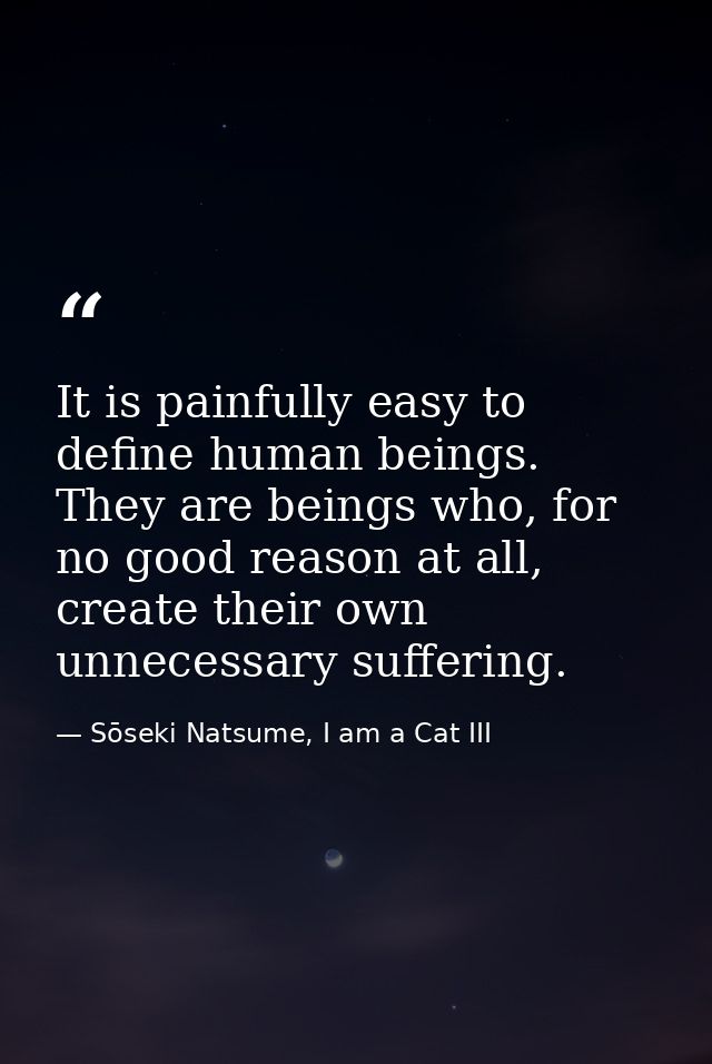 It is painfully easy to define human beings. They are beings who, for no good reason at all, create their own unnecessar — Sōseki Natsume, I am a Cat III