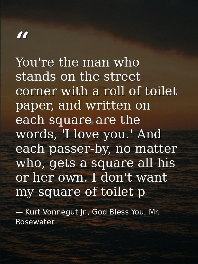 You're the man who stands on the street corner with a roll of toilet paper, and written on each square are the words, 'I — Kurt Vonnegut Jr., God Bless You, Mr. Rosewater
