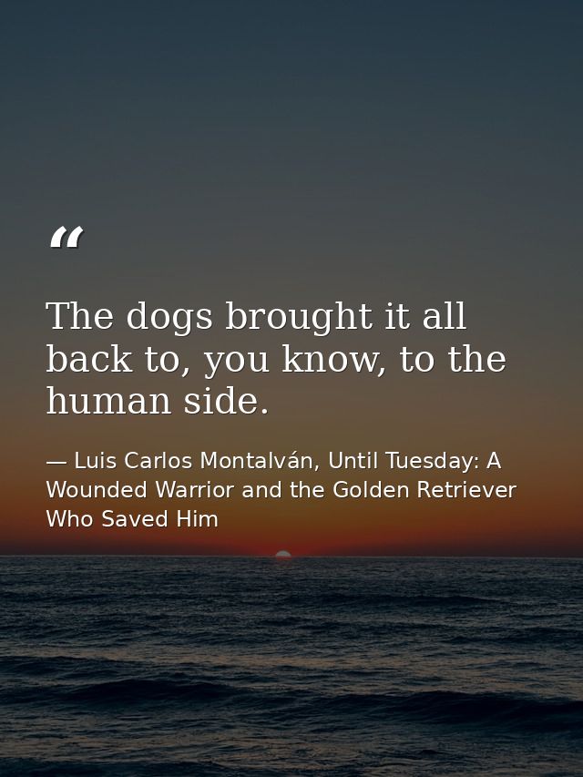 The dogs brought it all back to, you know, to the human side. — Luis Carlos Montalván, Until Tuesday: A Wounded Warrior and the Golden Retriever Who Saved Him