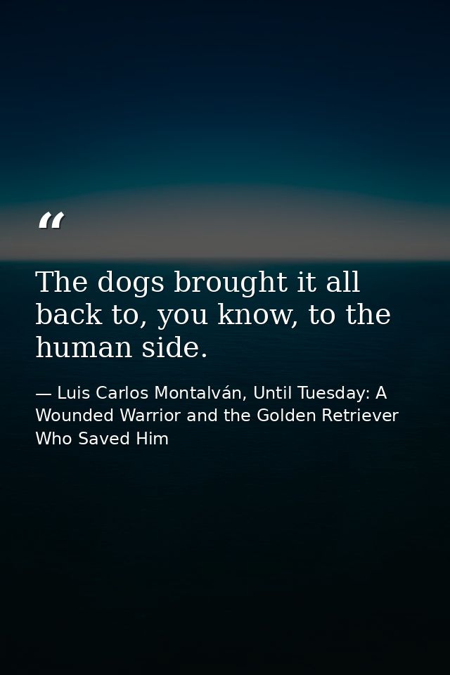 The dogs brought it all back to, you know, to the human side. — Luis Carlos Montalván, Until Tuesday: A Wounded Warrior and the Golden Retriever Who Saved Him