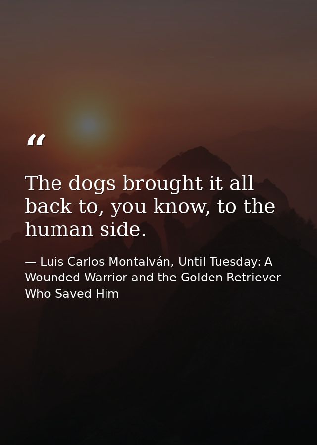 The dogs brought it all back to, you know, to the human side. — Luis Carlos Montalván, Until Tuesday: A Wounded Warrior and the Golden Retriever Who Saved Him
