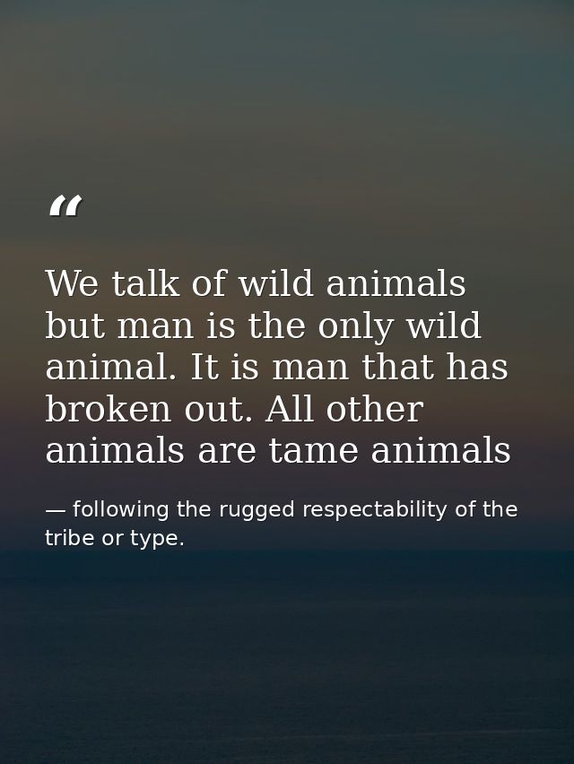 We talk of wild animals but man is the only wild animal. It is man that has broken out. All other animals are tame anima — following the rugged respectability of the tribe or type.