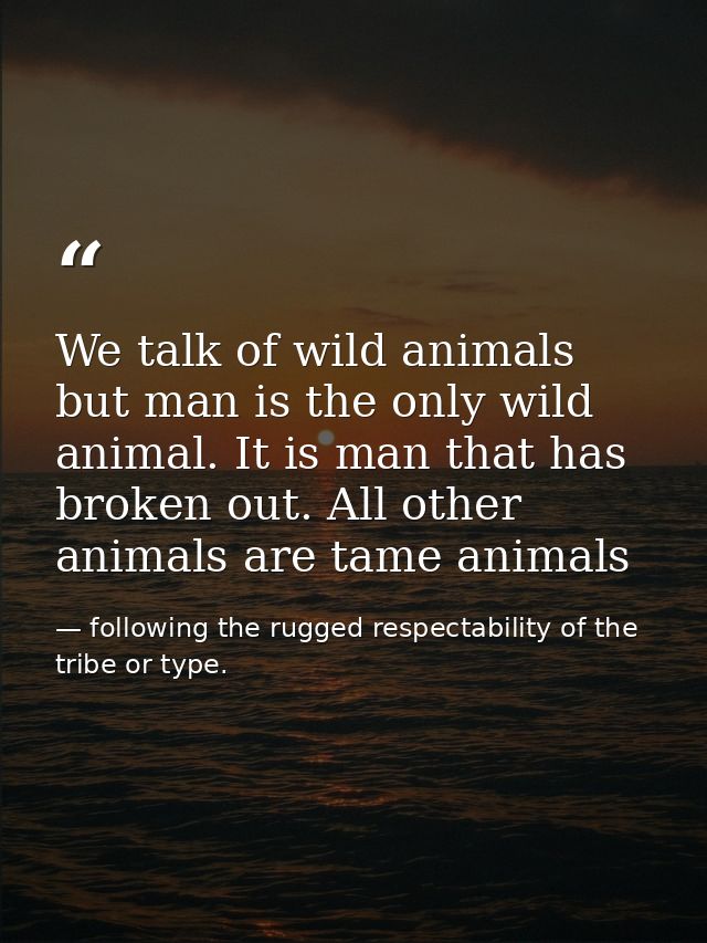 We talk of wild animals but man is the only wild animal. It is man that has broken out. All other animals are tame anima — following the rugged respectability of the tribe or type.