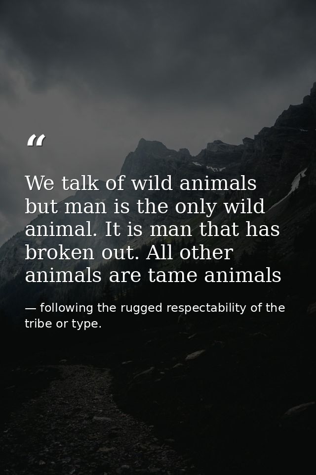 We talk of wild animals but man is the only wild animal. It is man that has broken out. All other animals are tame anima — following the rugged respectability of the tribe or type.