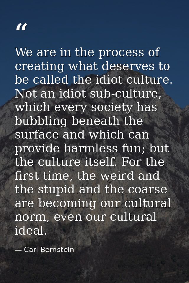 We are in the process of creating what deserves to be called the idiot culture. Not an idiot sub-culture, which every so — Carl Bernstein