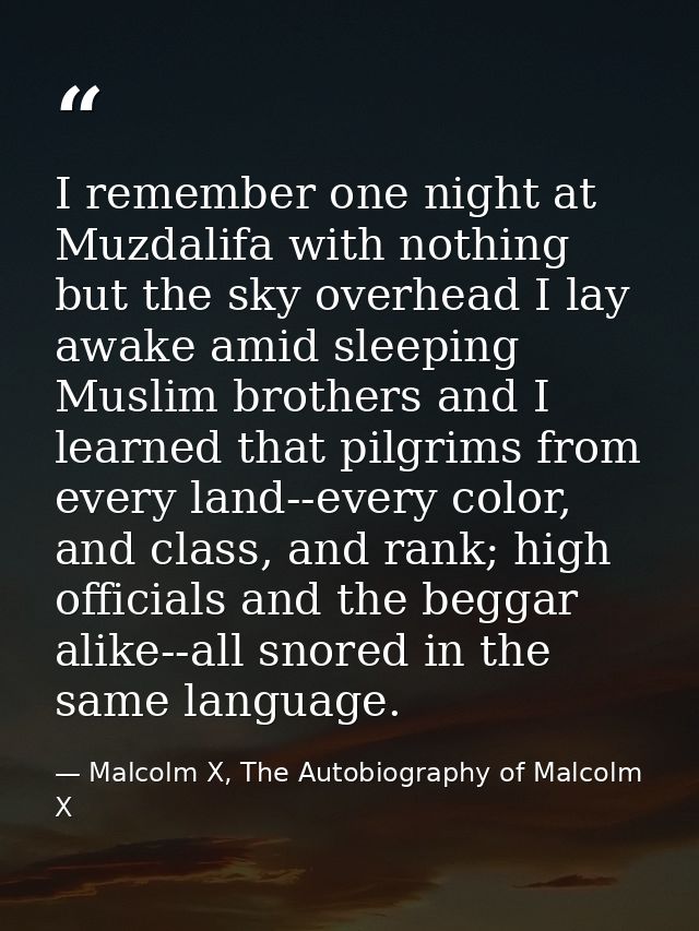 I remember one night at Muzdalifa with nothing but the sky overhead I lay awake amid sleeping Muslim brothers and I lear — Malcolm X, The Autobiography of Malcolm X