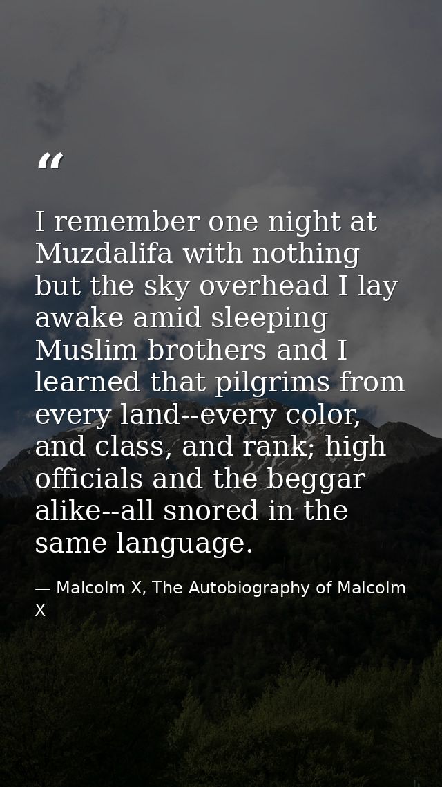 I remember one night at Muzdalifa with nothing but the sky overhead I lay awake amid sleeping Muslim brothers and I lear — Malcolm X, The Autobiography of Malcolm X