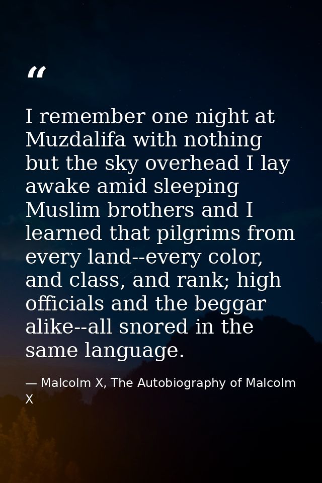 I remember one night at Muzdalifa with nothing but the sky overhead I lay awake amid sleeping Muslim brothers and I lear — Malcolm X, The Autobiography of Malcolm X